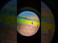 unlimited zooming with the zooming test #photography #zoomtest #camera #dslr #short