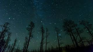 Starry Night sky, trees, stars, Timelapse background full HD 4K Free