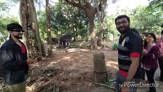 Elephant Camp in Kerala part 1 ! hathiyon ka camp Kerala ! #kerala