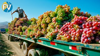 How millions of tons of grapes are cultivated and processed. How thousands of liters of wine are pro