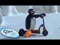 Pingu And The New Scooter Pingu Official 1 Hour Cartoons For Kids Pingu And The New Scooter Pingu Official 1 Hour Cartoons For Kids