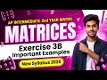 Inter_2nd year maths _New syllabus _chapter 3_exercise 3b_Matrices_impartent_ examples 14 to 19
