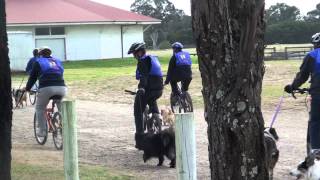 2012 DogsNSW Endurance Test