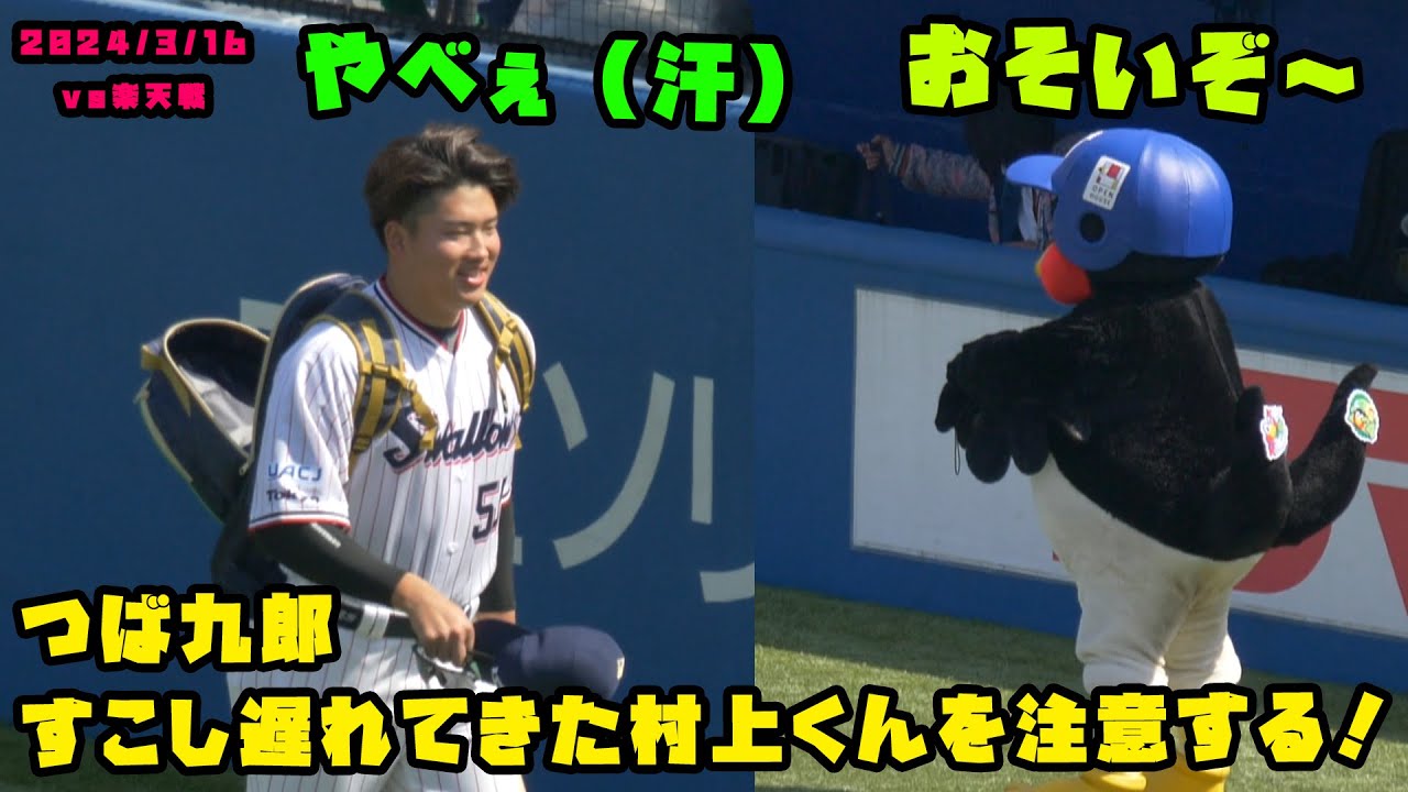 つば九郎 すこし遅れてきた村上くんを注意する！ 2024/3/16 vs楽天