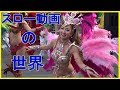 スロー動画の世界でわかること❣サンバパレード