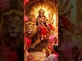 Tune Mujhe Bulaya Sherawaliye ll me aaya me aaya Jotawakiye 🙏🙏 #jaymatadi #navratri