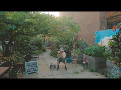 coulou's trumpet meditations album - crystal bonsai tree [garden listening session]
