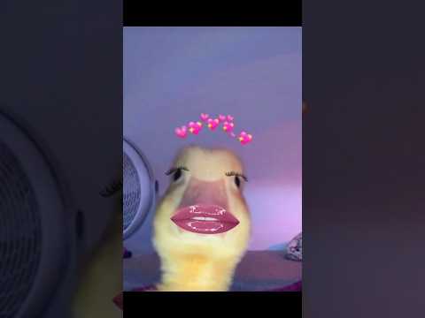 Девочки и так красивые 😭 #а4 #прикол #блогер #tiktok #юмор #love #врек #топ #подпишись #тикток