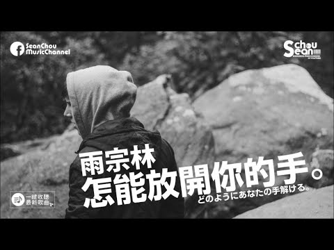雨宗林 - 怎能放開你的手 [經典復刻]