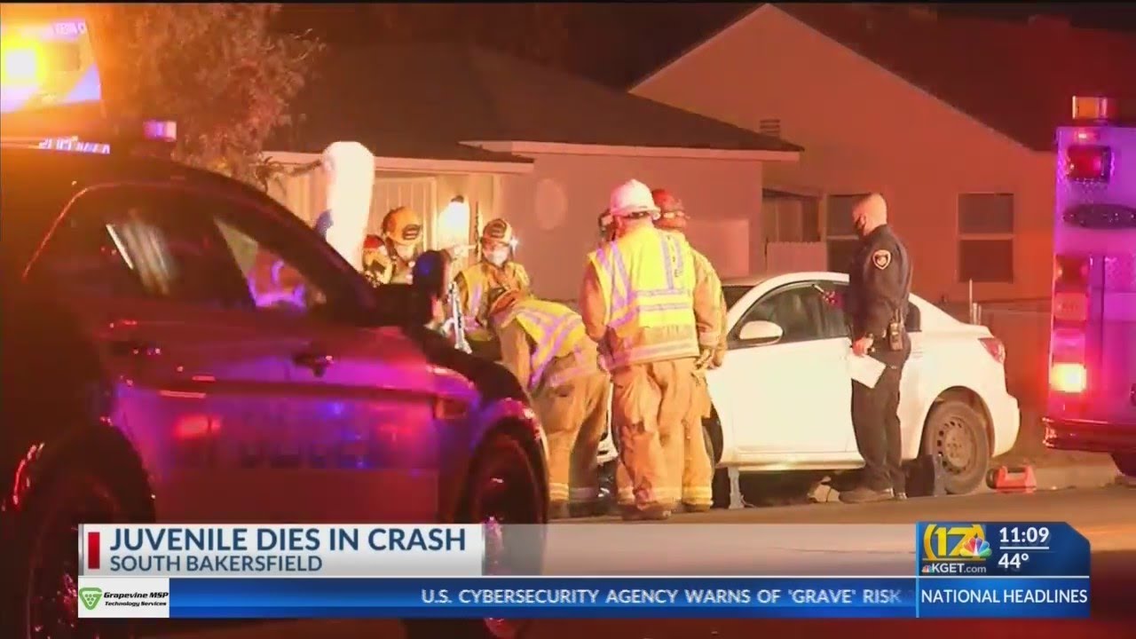 Juvenile riding mini bike dies after being struck multiple times in ...