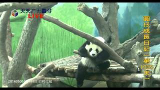 20160506 Live 圓仔睡前調皮玩卡頭