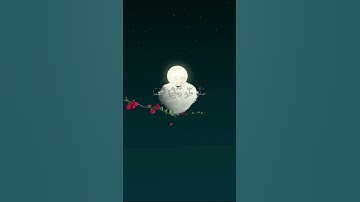 واتس أب قرآن كريم القارئ عبدالله الموسى من سورة (الأحزاب)