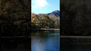 【Famous spot for autumn leaves】Sasagamine Ranch 紅葉の名所 笹ヶ峰牧場 sightseeing