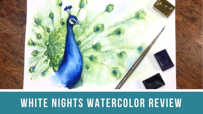REVIEW WHITE NIGHTS WATERCOLORS  35 set in the metal tin 