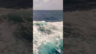 Very rough and high swell in open sea #viral #shortvideo #ship #sealife #merchantnavy #seaman