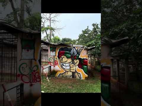 أولترا حب و عقلية تترك بصمتها بغرافيتي يجسد ماسكوت مولود بمود رومبا في العاصمة الكاميرونية ياوندي 