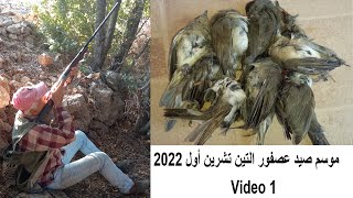 2022 بداية موسم صيد عصفور التين في شهر تشرين أول | Eurasian Blackcap bird hunting | 10 birds