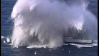 THE TORPEDOS  "torpedos"