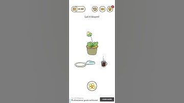 Brain Find Level 60 Let It Bloom Solution