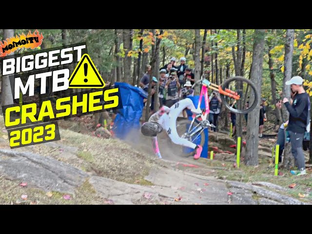 best pedals for xc mtb Wolf Tooth MK0 ALT Clipless Pedal Pedal Powered Washing Machine: the ALT clipless pedal _brand_Slider Saddle type:Mit Aussparung (26 × 15 × 6 cm)