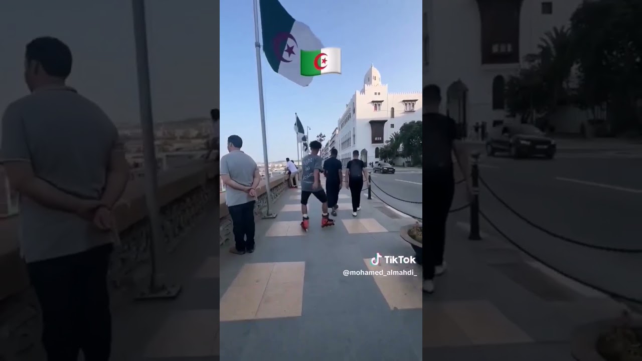 Roller made in Algeria🇩🇿