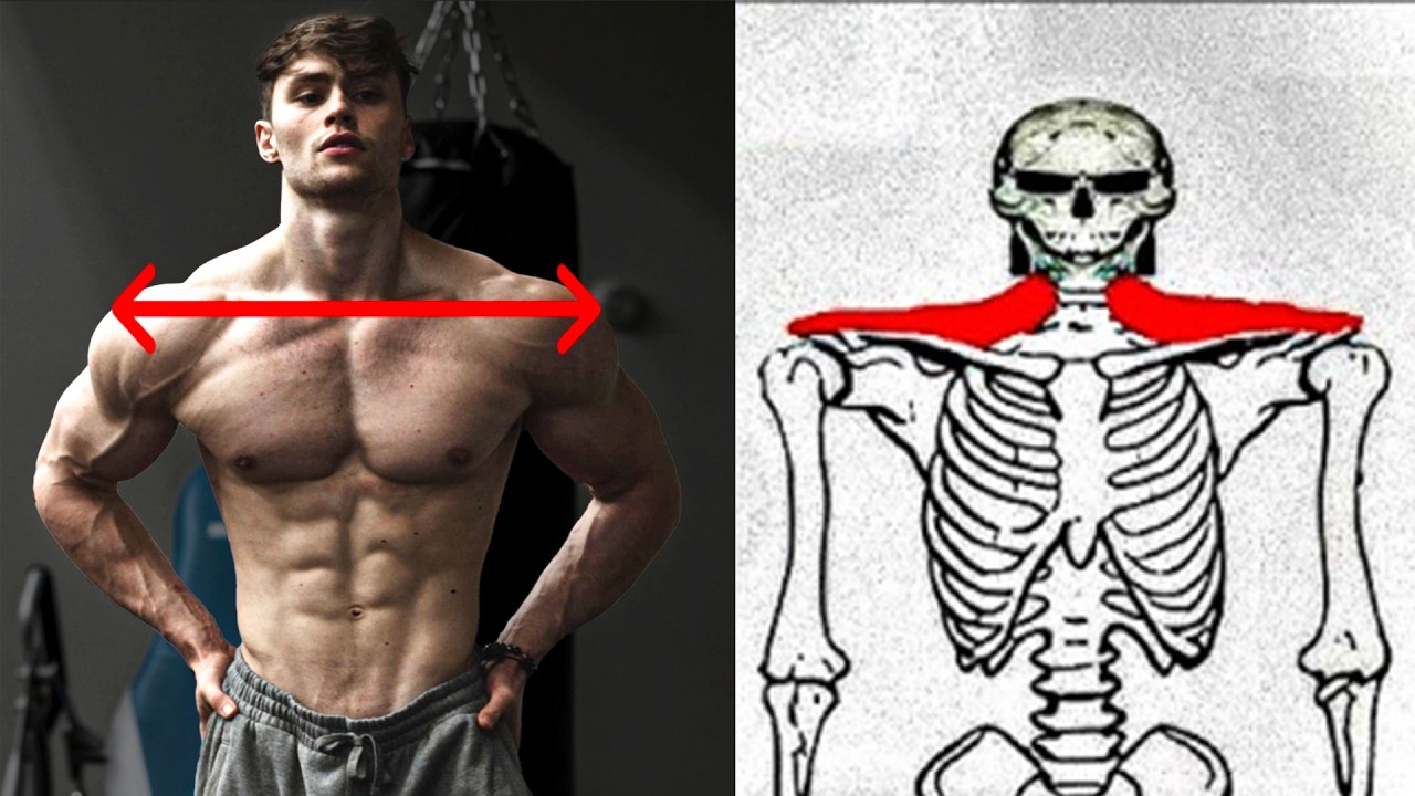 How To Get Wider Clavicles (ALL Methods Ranked) - YouTube