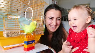 Anne Vlog Sevcan Derin Ile Limonun Bakımını Yapıyorlar Eğitici Bebek Oyunları