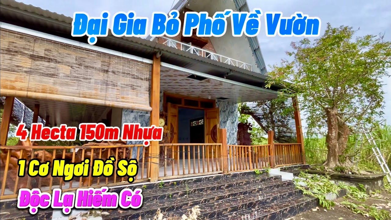 Bán Nhà Vườn View đẹp tổng 4ha. Nhà Thái, 2 ao cá, hàng trăm cây cảnh, 1000 cây dừa, 400 cây chà là.