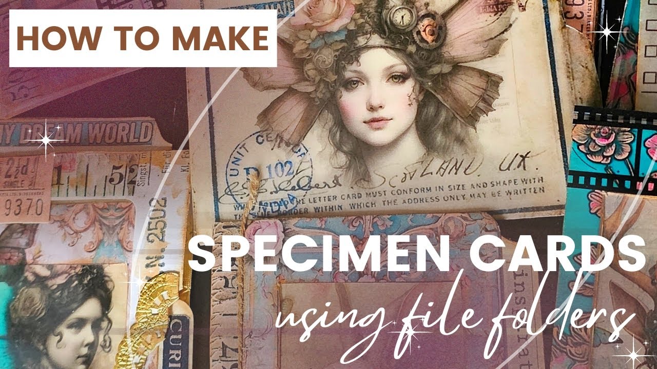 File Card Use How to Make Specimen Cards using File Folders & Envelopes - YouTube