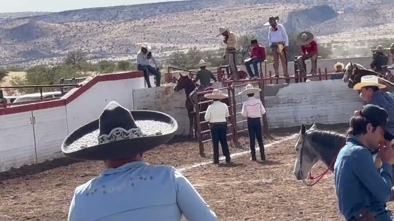 Disfruta de este hermoso deporte suscríbete 