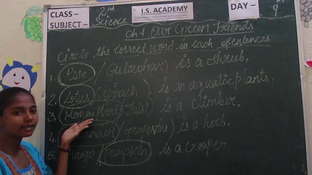 SCIENCE CLASS 2 PART 9 I.S. ACADEMY, ALWAR YouTube