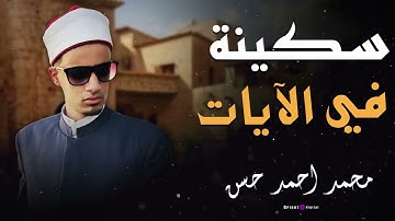 صوت يأخذك إلى عالم آخر من الإيمان.. تلاوة للشيخ محمد أحمد حسن