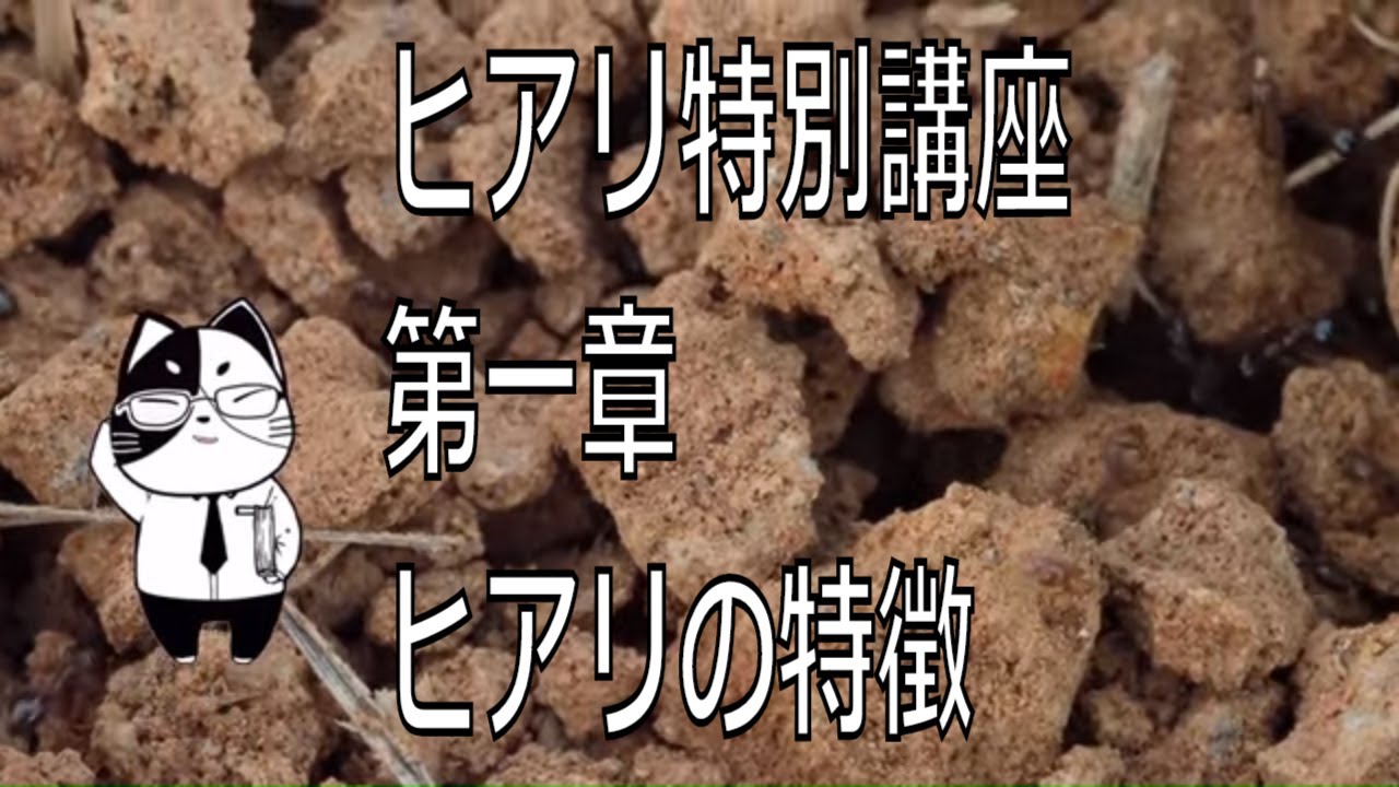 ヒアリ特別講座：第一章＿ヒアリの特徴