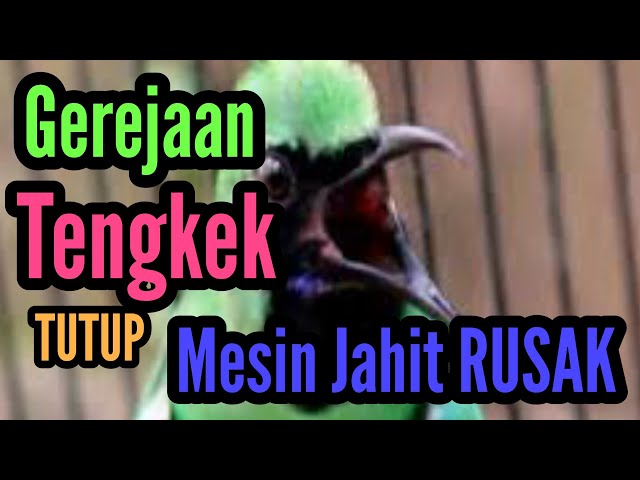 Ready buat yg pesen suara bersih gerejaan tenggek sambung MESIN JAHIT RUSAK class=