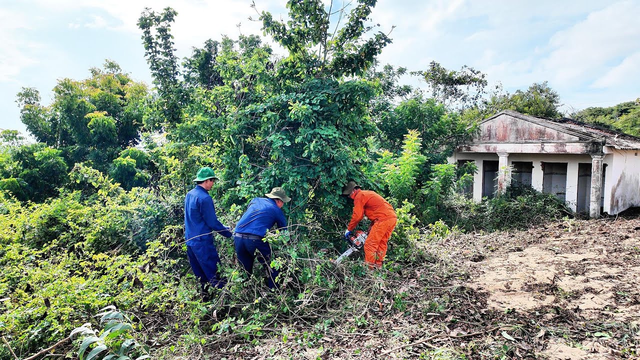 Дом, застрявший в дикой природе на десятилетия – Наша самая опасная уборка