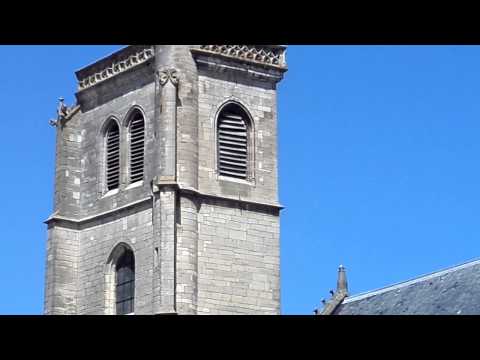 Volée de l'angélus de 12 h A l'église Notre-Dame d'Auxonne (21)