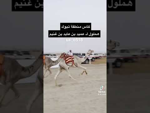 مهرجان كأس الوجه