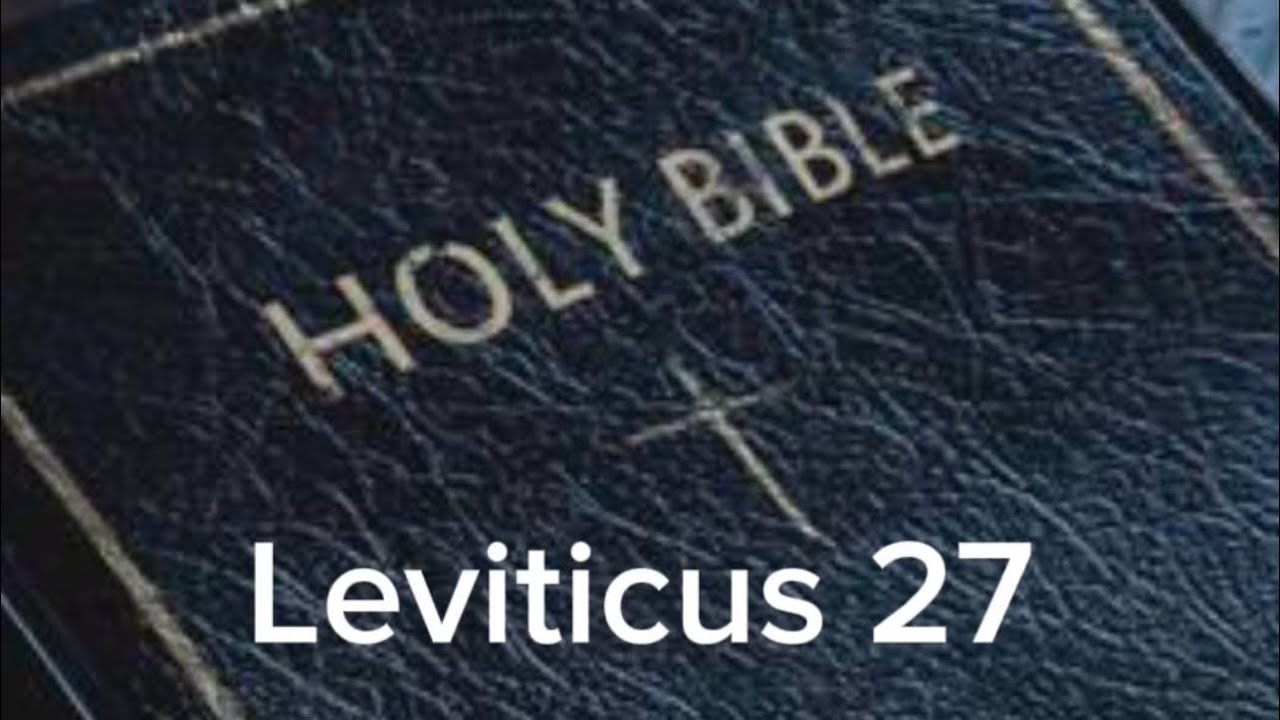 Leviticus 27 (NIV) The Audio Bible - YouTube