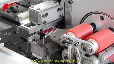 Fully Automatic Double Ends Wire Cutting Stripping Twisting and Tinning Machine