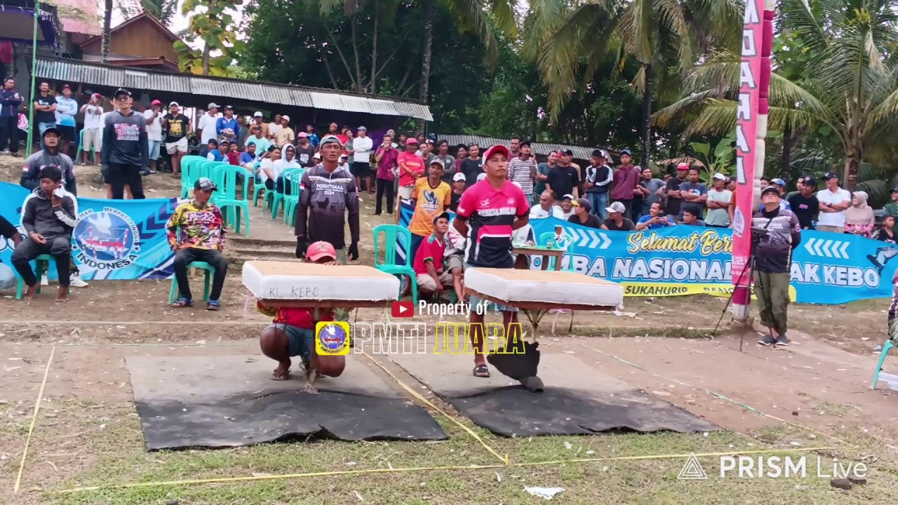 [LIVE] BABAK 13 BESAR LOMBA UTAMA LOMNAS PMTI 2026 LAPAK KEBO PANGANDARAN