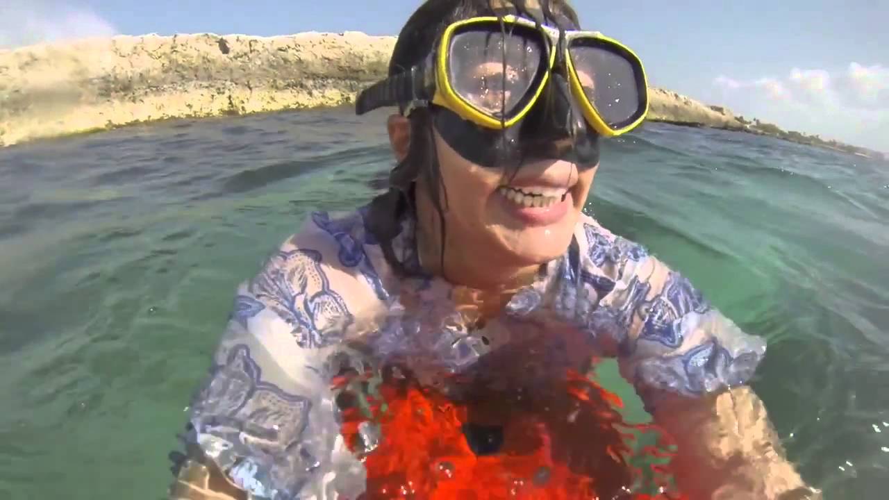 Best snorkeling in Aruba ! Seabob Aruba 2014 YouTube