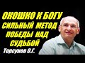 Окошко к Богу. Сильный метод победы над судьбой. Торсунов О.Г.