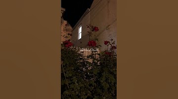 سورة الأنبياء آية ١ 🫀| اقْتَرَبَ لِلنَّاسِ حِسَابُهُمْ وَهُمْ فِي غَفْلَةٍ مُّعْرِضُونَ