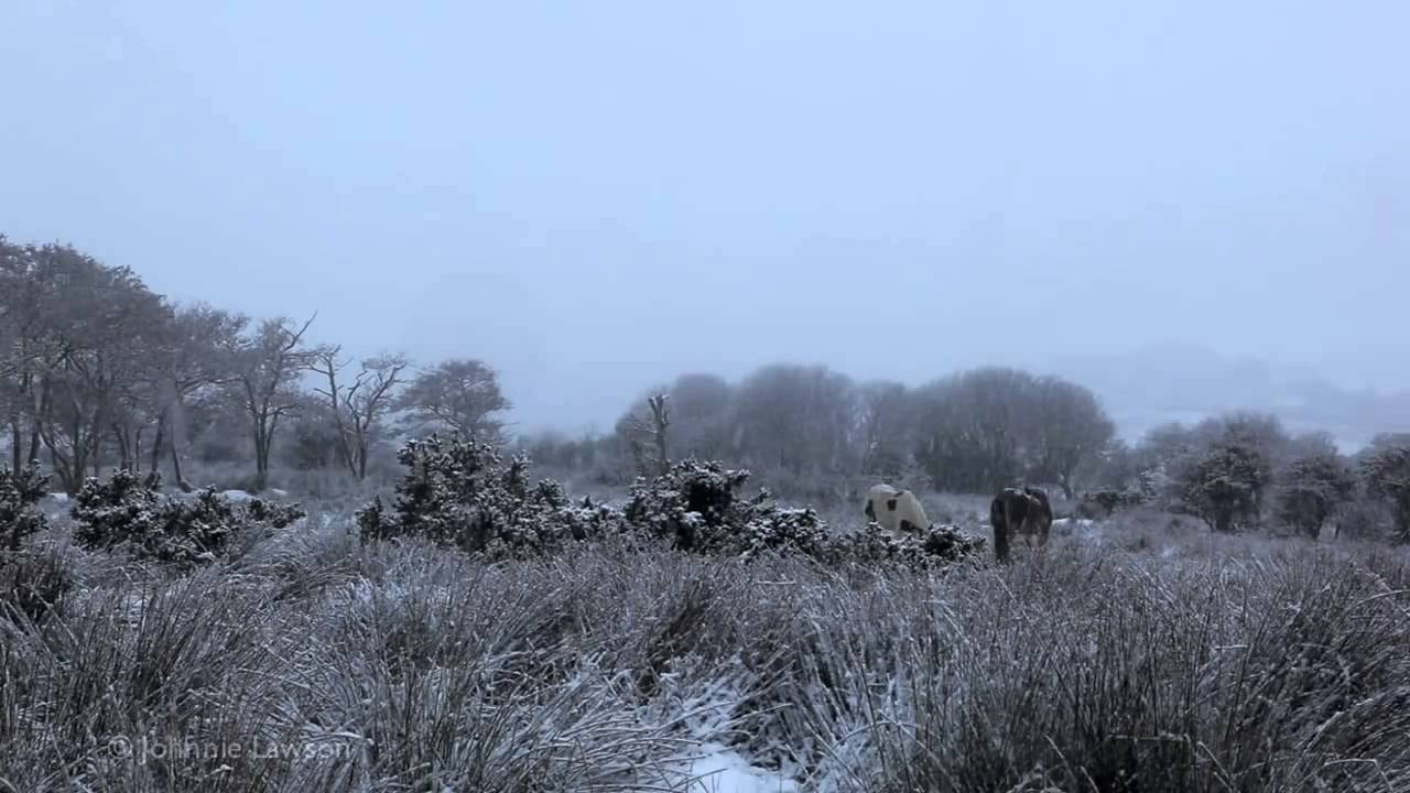 Christmas music classics and holiday scenery