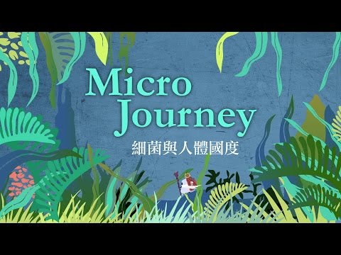 細菌與奇幻的人體國度—— Micro Journey｜科學大爆炸2-EP.6