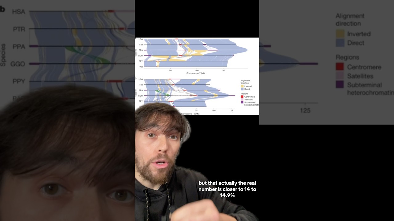 Do Humans And Apes Differ Only By 1% Genetically? A New Study DEBUNKS This