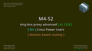 singbox proxy advanced M4 S2 domain based routing