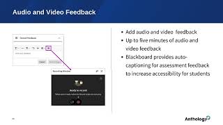 Streamlined Grading in Blackboard: Best Practices for Educators