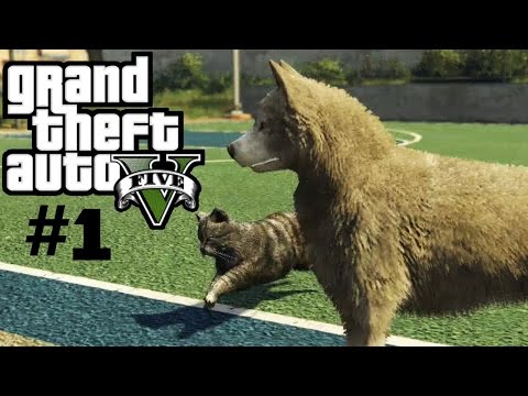 Видео: Все лофофоры в GTA 5 ►Играем за животных ►часть 1