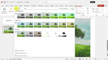 How to invert colors on a picture in PowerPoint mac